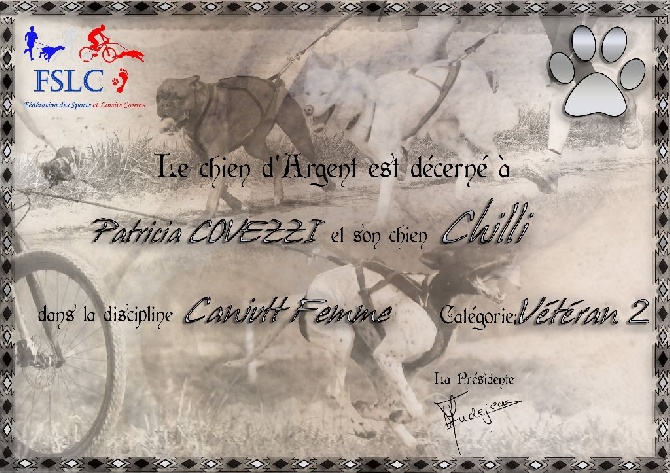 Action Doggy Dog - Chien d'Argent 2014 Trophée F.S.L.C.