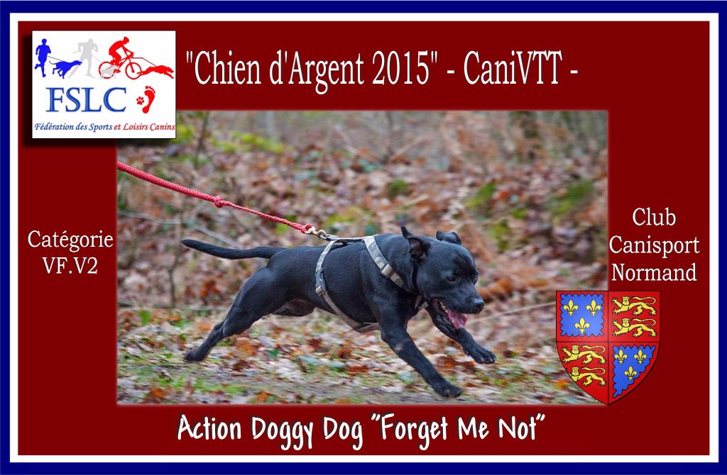 Action Doggy Dog - Chien d'Argent 2015 Trophée F.S.L.C.